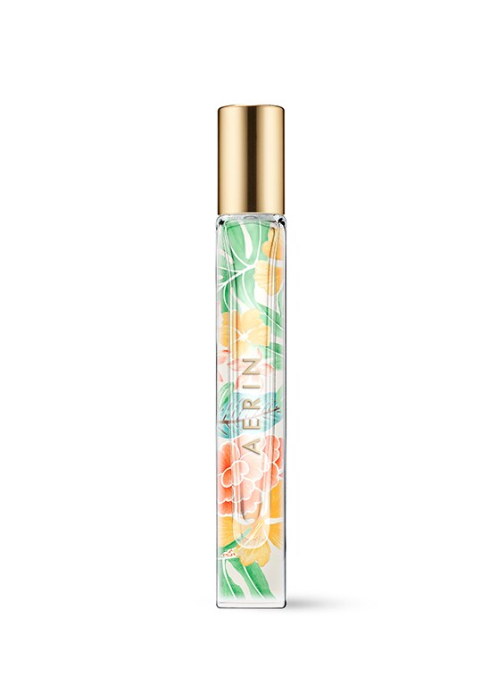 Aerin Hibiscus Palm