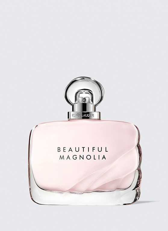 Beautiful Magnolia