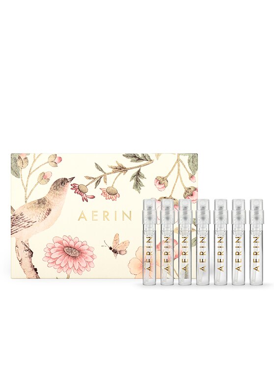 AERIN Discovery Set